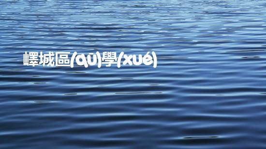嶧城區(qū)學(xué)校管道清淤價(jià)格驚人！為何如此昂貴？